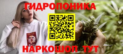 винт Будённовск