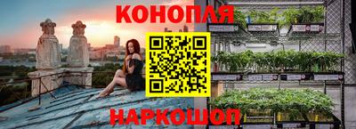 индика Бузулук