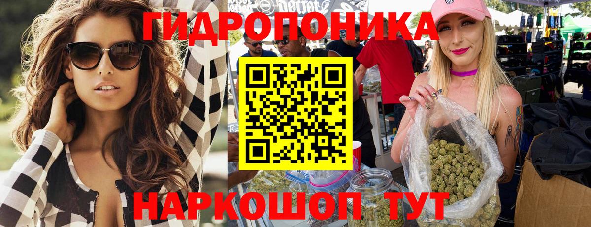 Конопля гибрид Прохладный